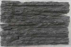 FM-736  