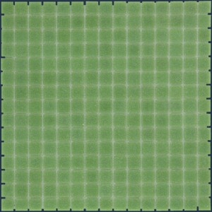 GM23-Light Green  