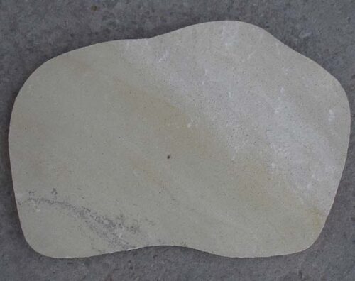 Mint Fossil
