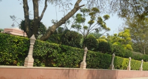 LA 003    