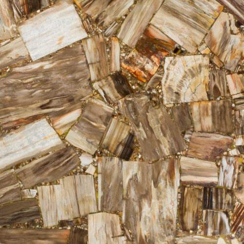 Petrified wood