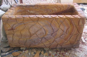 PF 0022