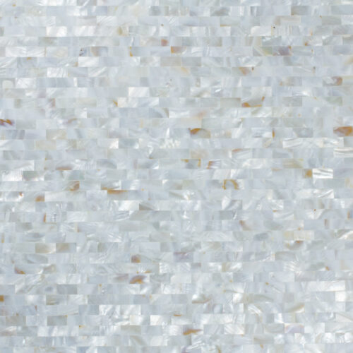 River Shell